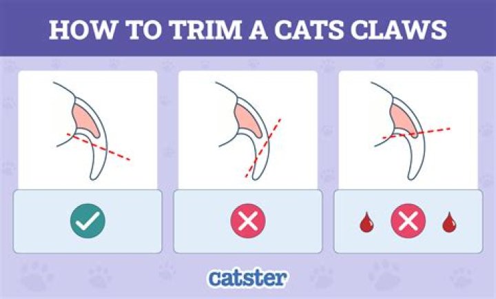 Are claw clips bad for cats?