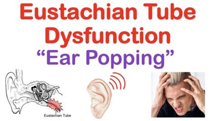 Are docked ears bad?