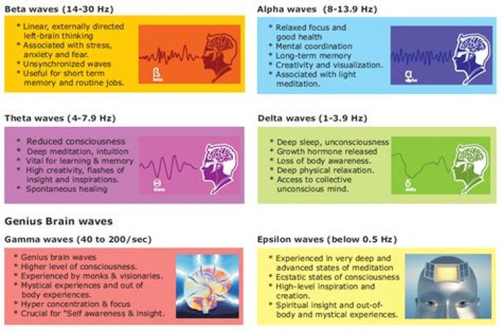 Are gamma waves good for studying?
