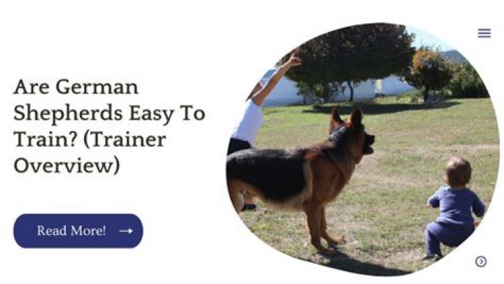 Are German Shepherds easy to train?