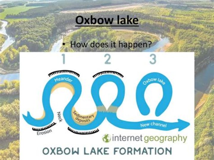 Are oxbow lakes in the middle course?