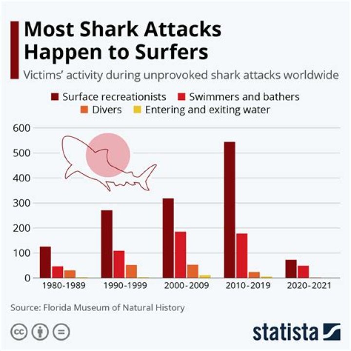 Are shark attacks common for surfers?