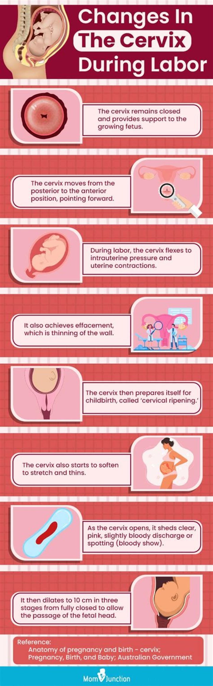 Can checking your cervix dilate you?