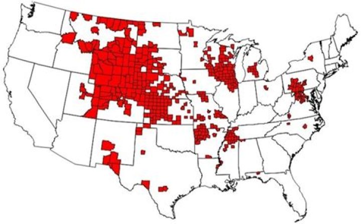 Can CWD affect humans?