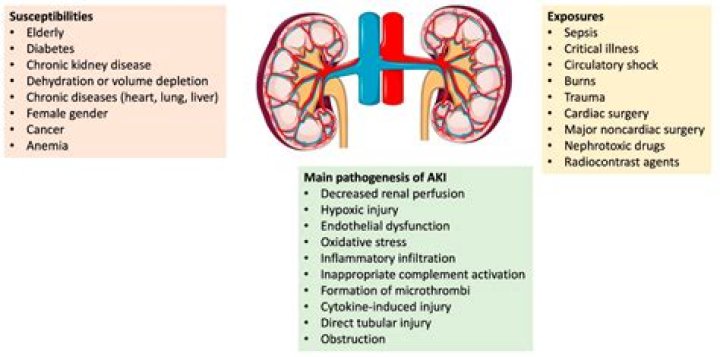 Can dysautonomia cause kidney problems?