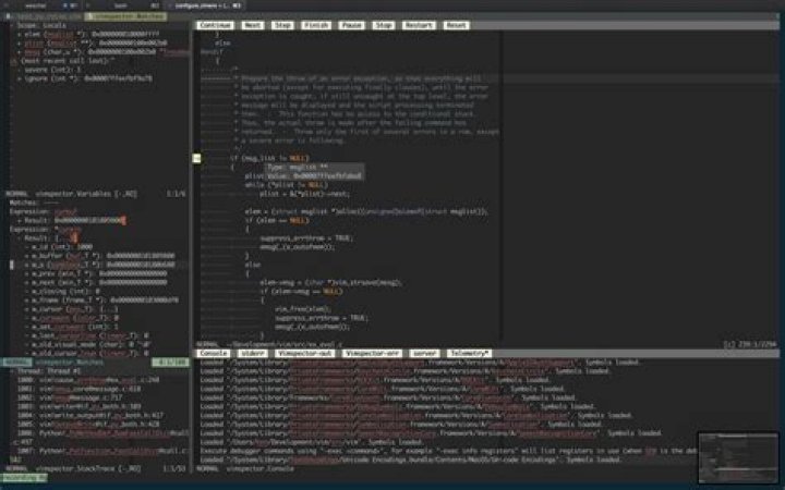 Can I debug in Vim?