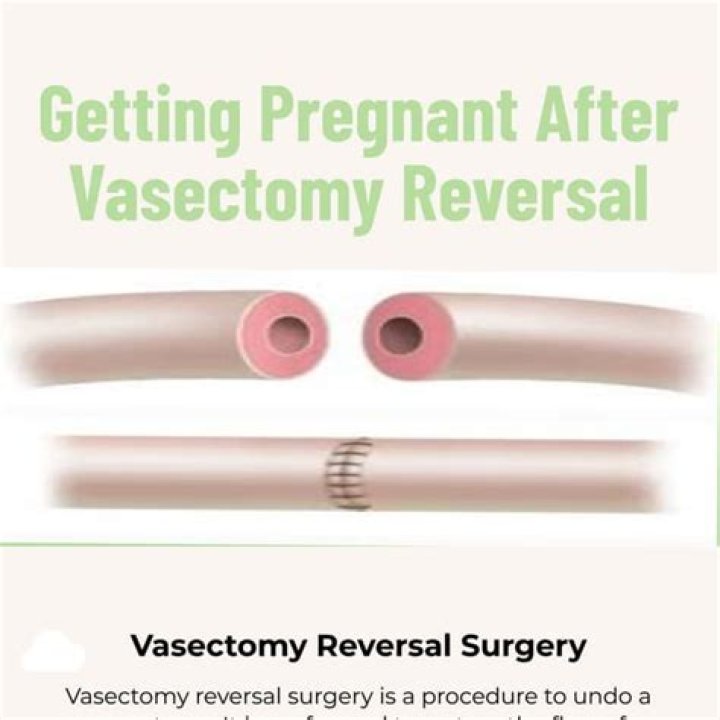 Can you get pregnant after a cauterized vasectomy?