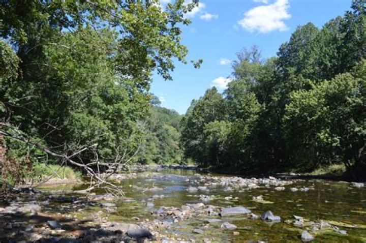 Can you hunt in Gunpowder Falls State Park?
