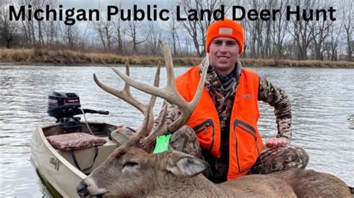 Can you hunt on public land in Michigan?