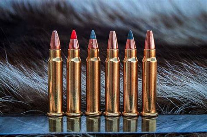 Can you shoot 17 win Super Mag in a 17 HMR rifle?