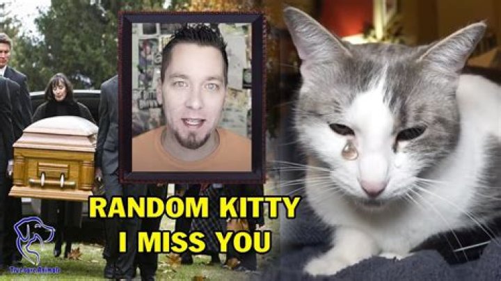 Did the Youtuber Talking Kitty Cat died?