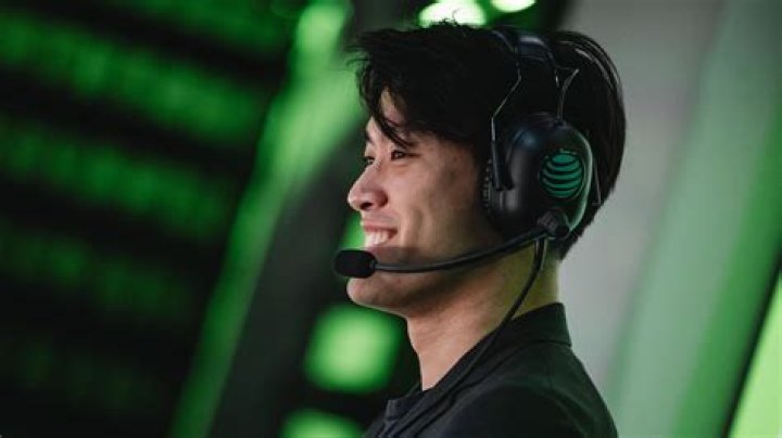 Did WildTurtle retire?