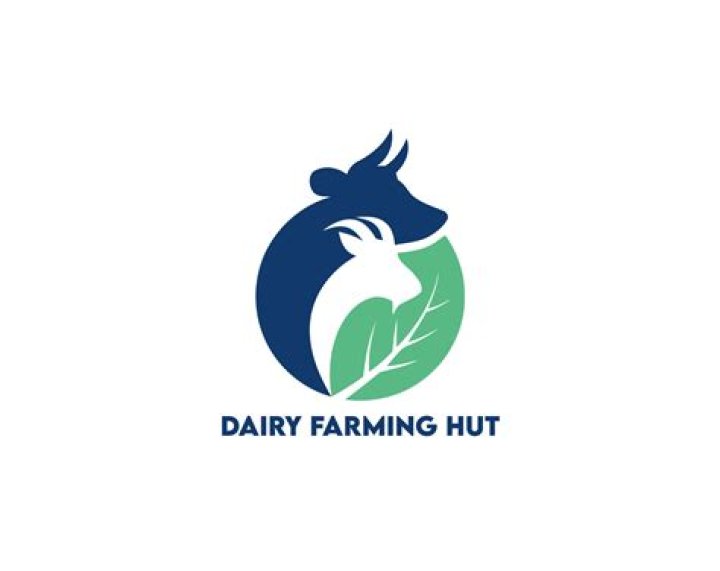 Do cows feel pain when branded?