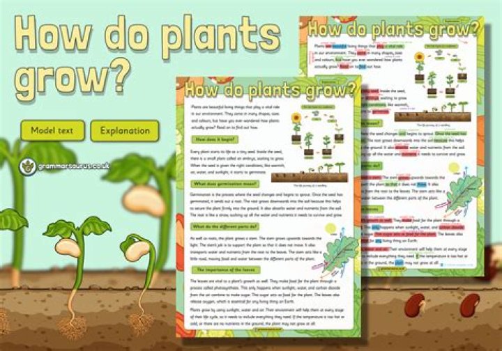 Do plants grow slower in the shade?