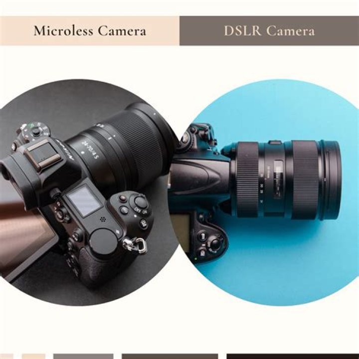 Do professionals use DSLR or mirrorless?