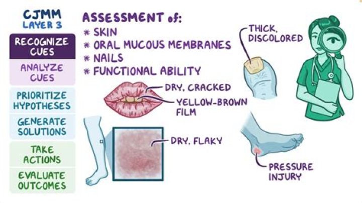 Does skin have mucous membrane?