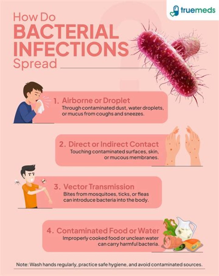 How are diseases caused by bacteria spread?