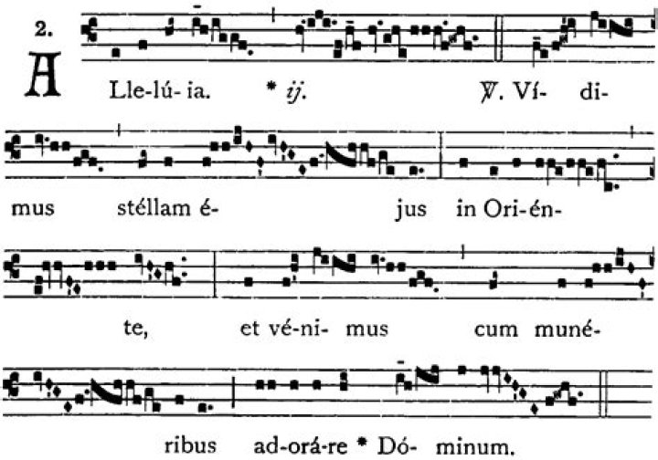 How can Alleluia Vidimus Stellam be described?