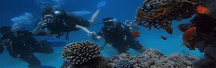 How do divers breathe?