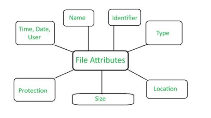 How do I change file attributes on a Mac?