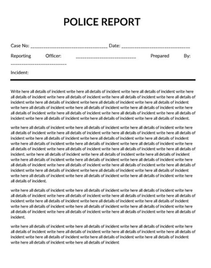 How do I file a police report in Hernando County Florida?