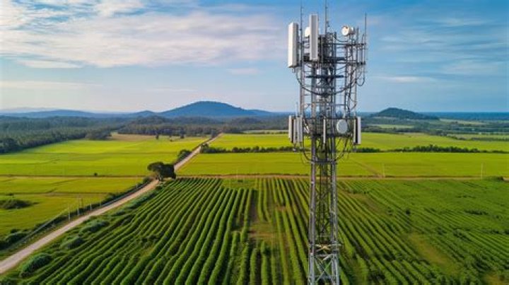 How do I find cell phone towers in my area?