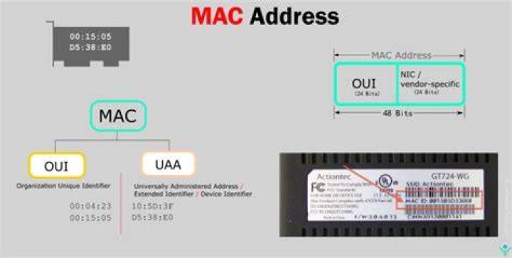 How do I find out who a MAC address belongs to?