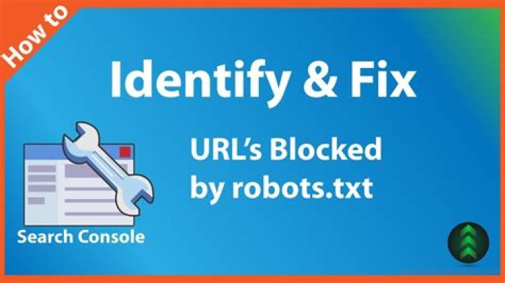 How do I fix URL blocked by robots txt?