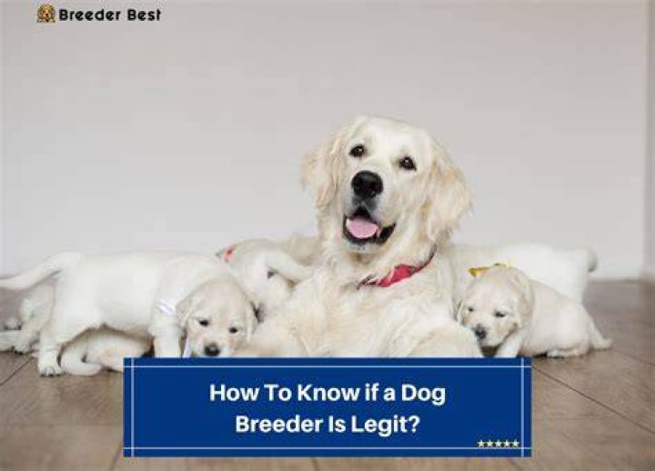 How do I know if a dog breeder is legit UK?