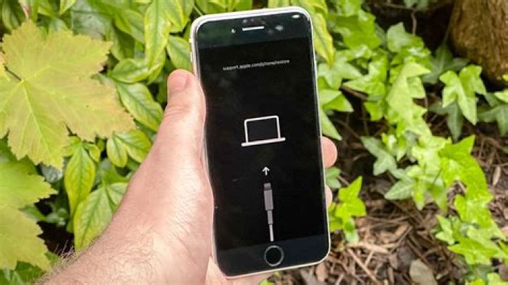 How do I know if iPhone recovery mode is working?