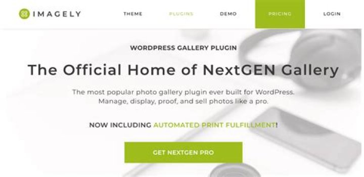 How do I show NextGEN Gallery in WordPress?