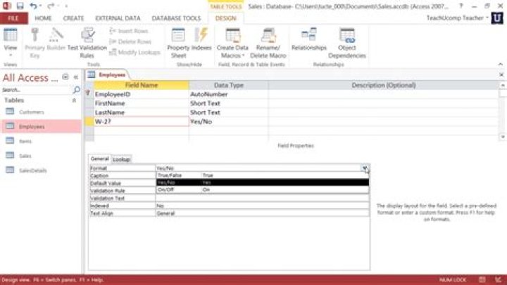 How do you Count yes and no fields in Access?