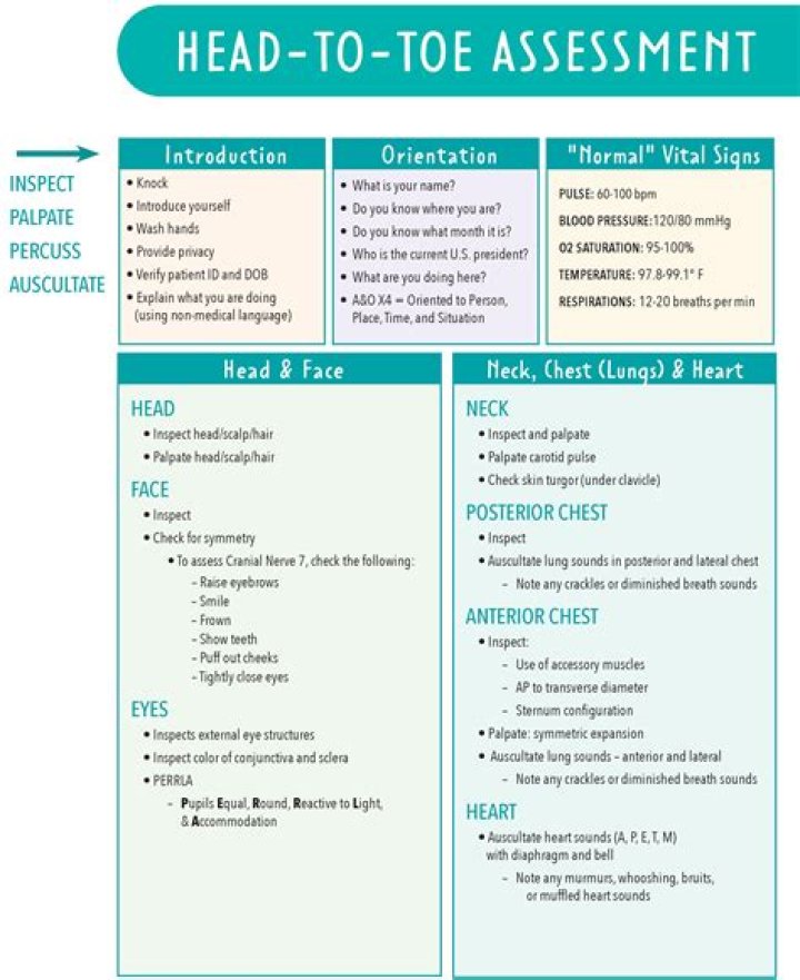 How do you do a head-to-toe assessment on a child?
