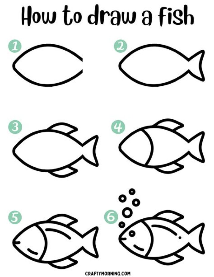 How do you draw a fish step by step?