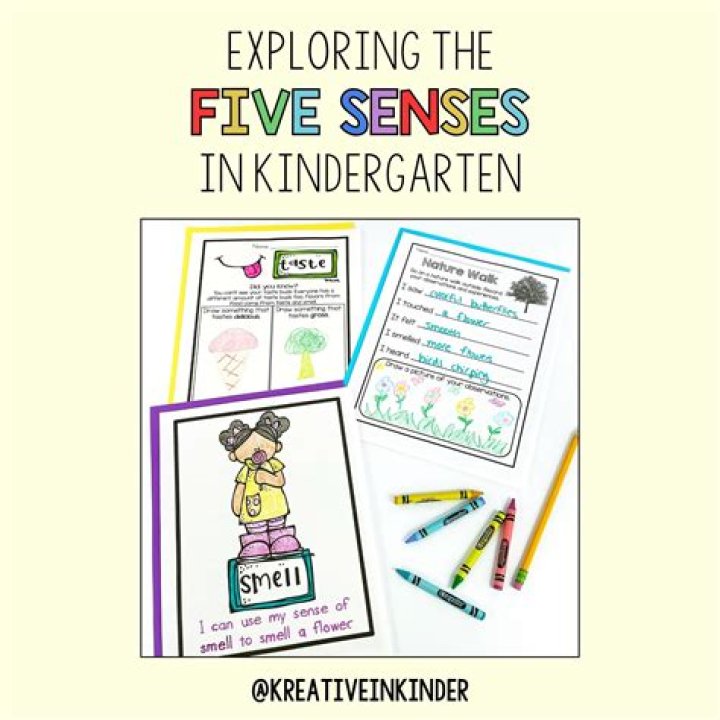 How do you introduce five senses to kindergarten?