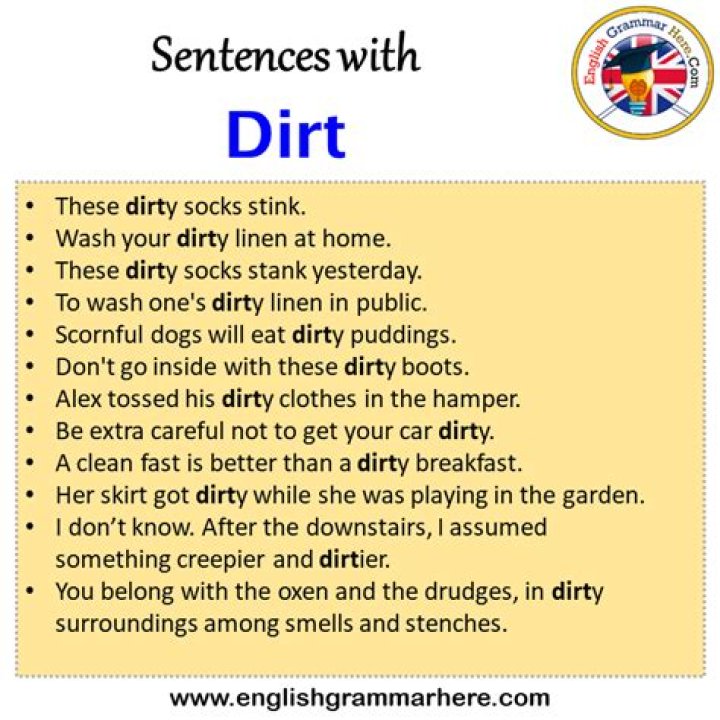 How do you use dish dirt in a sentence?