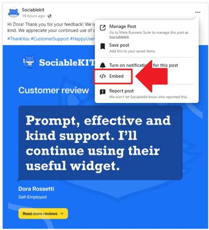 How do you view the whole website on Facebook?