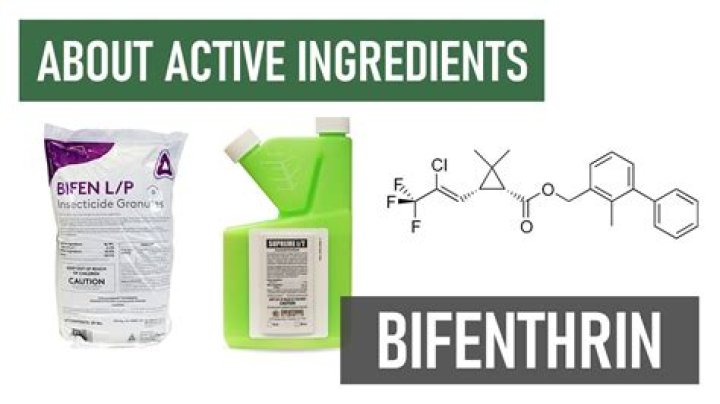 How does Biphentin make you feel?