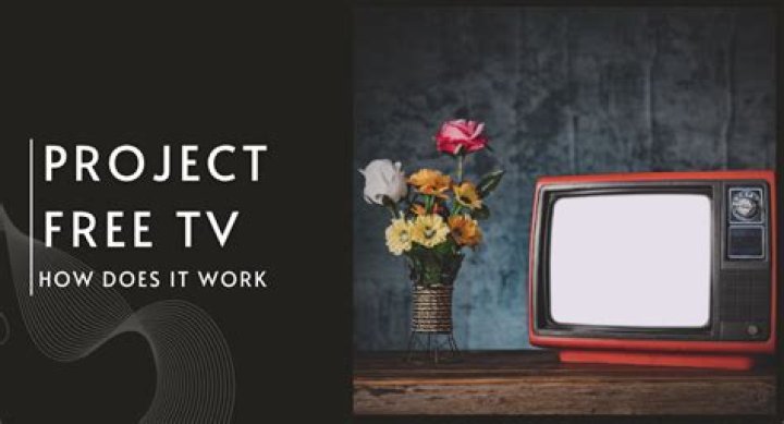 How does Project Free TV work?