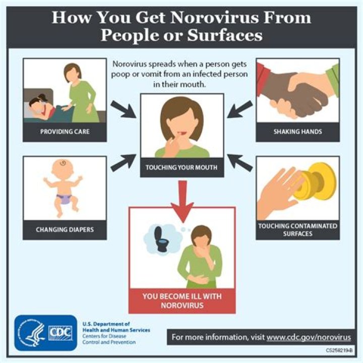 How long does norovirus take to incubate?