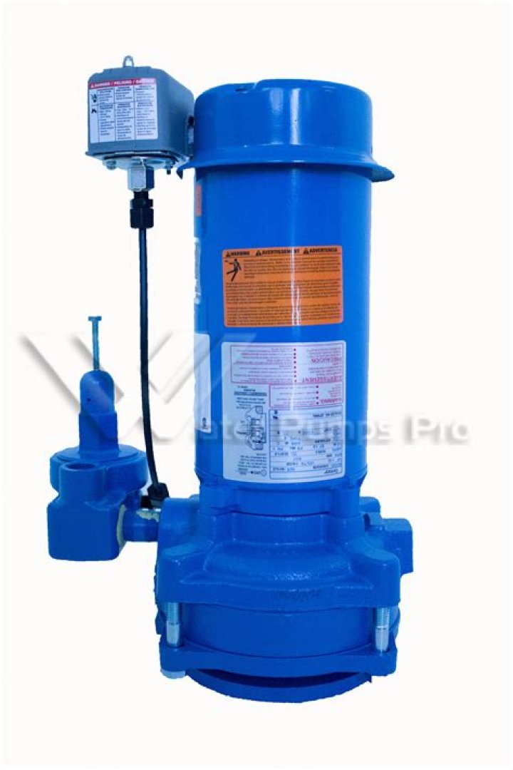 How long should a Goulds jet pump last?