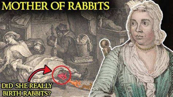 How many rabbits did Mary Toft gave birth to?