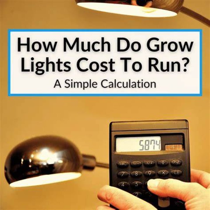 How much do Gram Lights weigh?