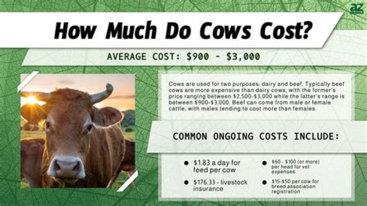 How much does cow manure cost?