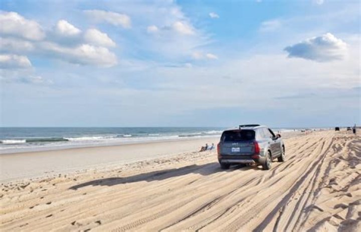 How much does it cost to DR on St Augustine Beach?