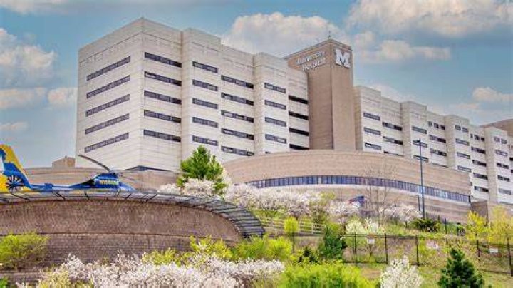 How much does the CEO of Sparrow Hospital make?