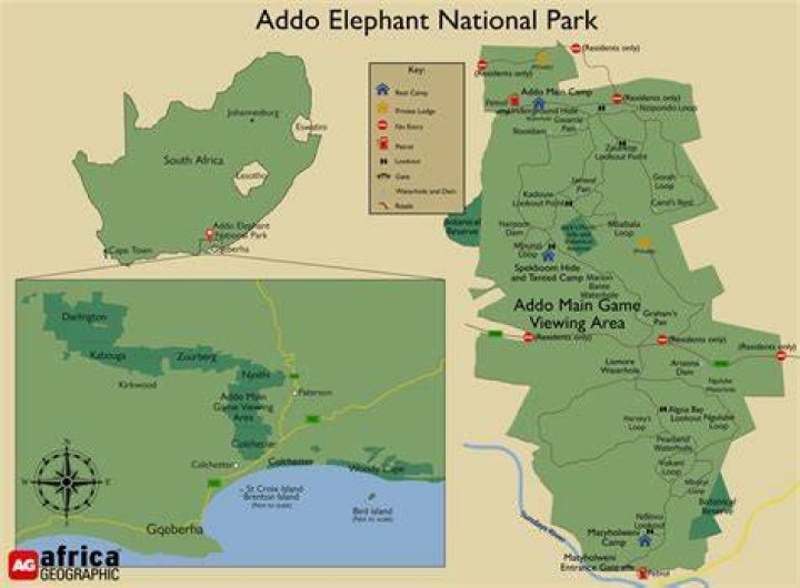 How much is a game drive in Addo Elephant Park?