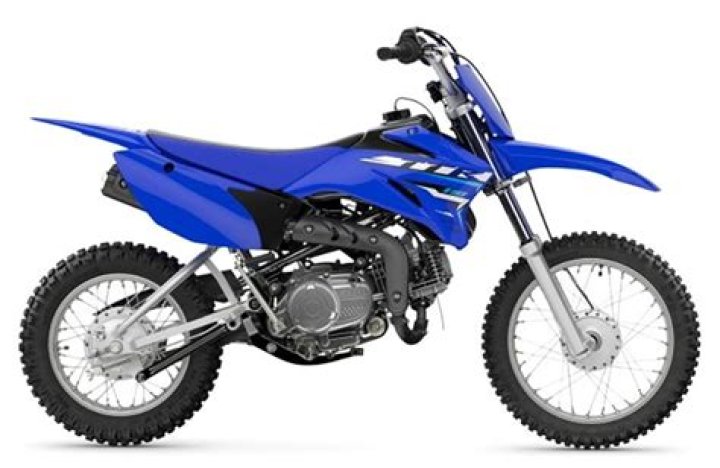 How much is a TTR 110 worth?