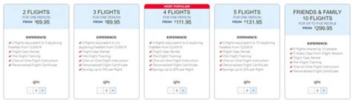 How much money does iFly cost?