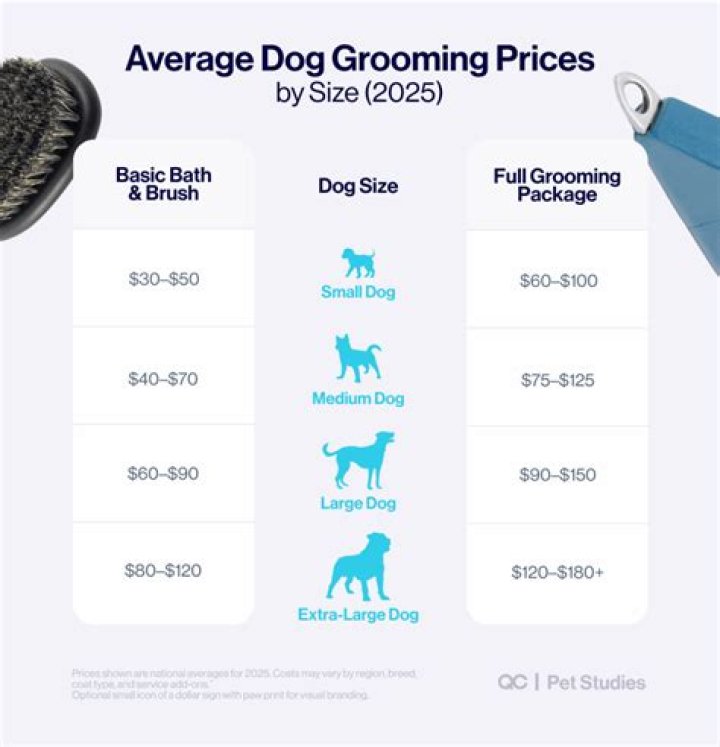 How much should dog grooming cost?